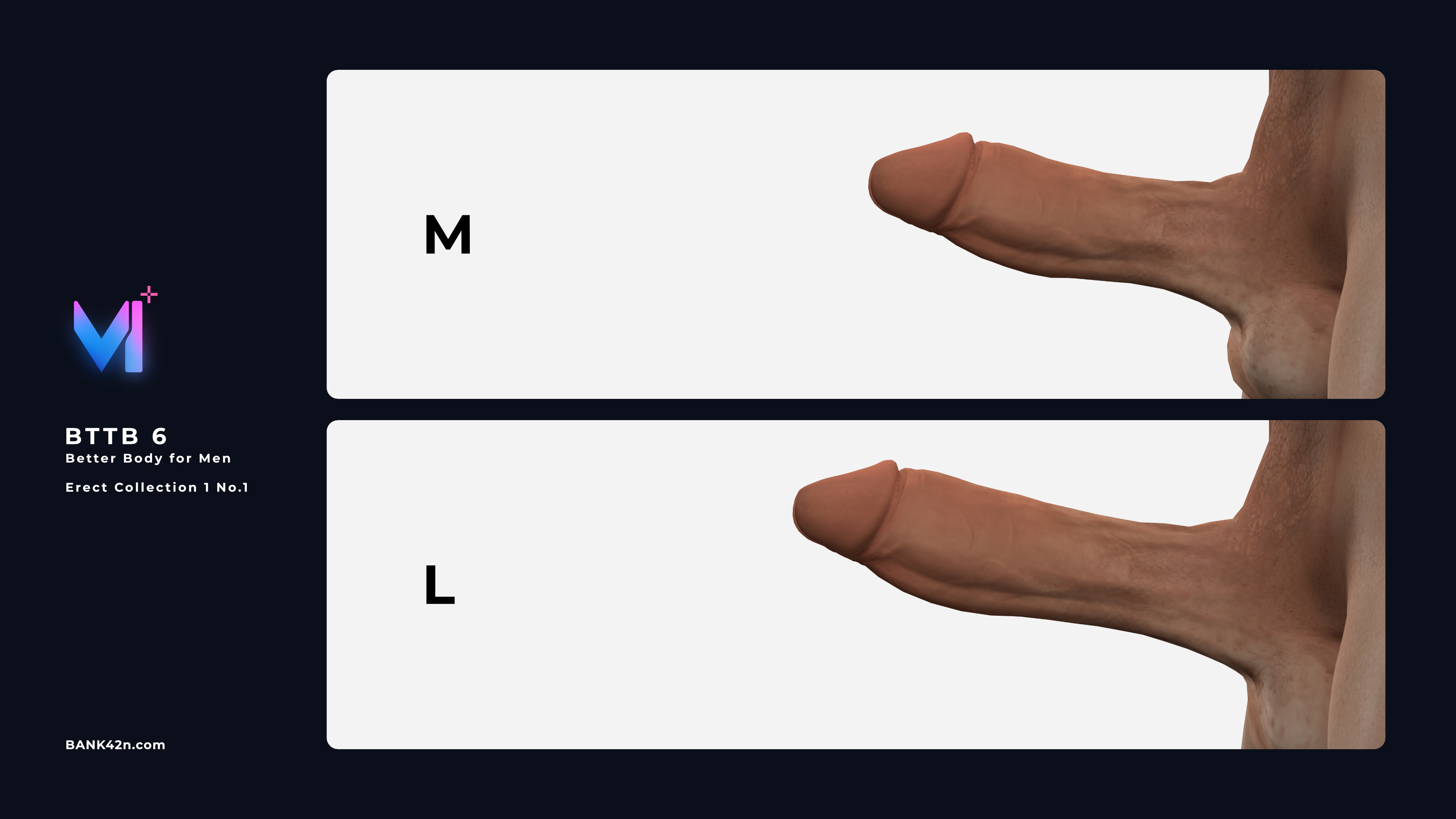 Erect-Collection-1-No.1