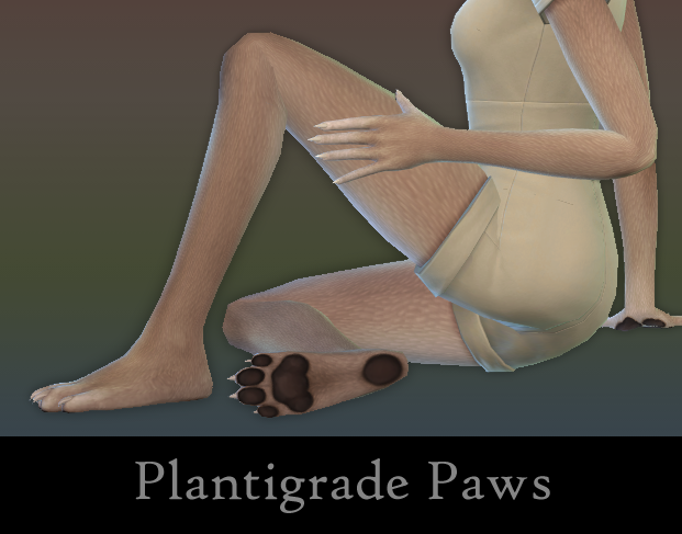 pawfeet_header