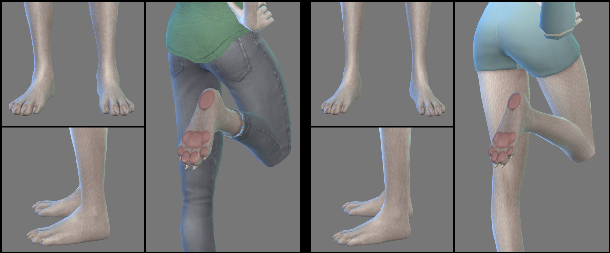 pawfeet_angles
