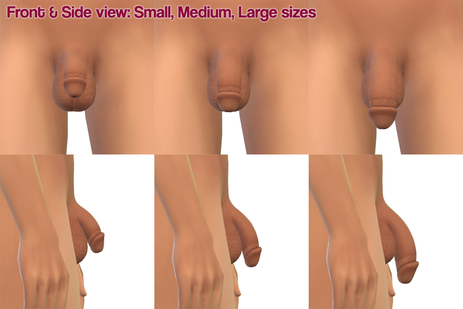 detail_sizes