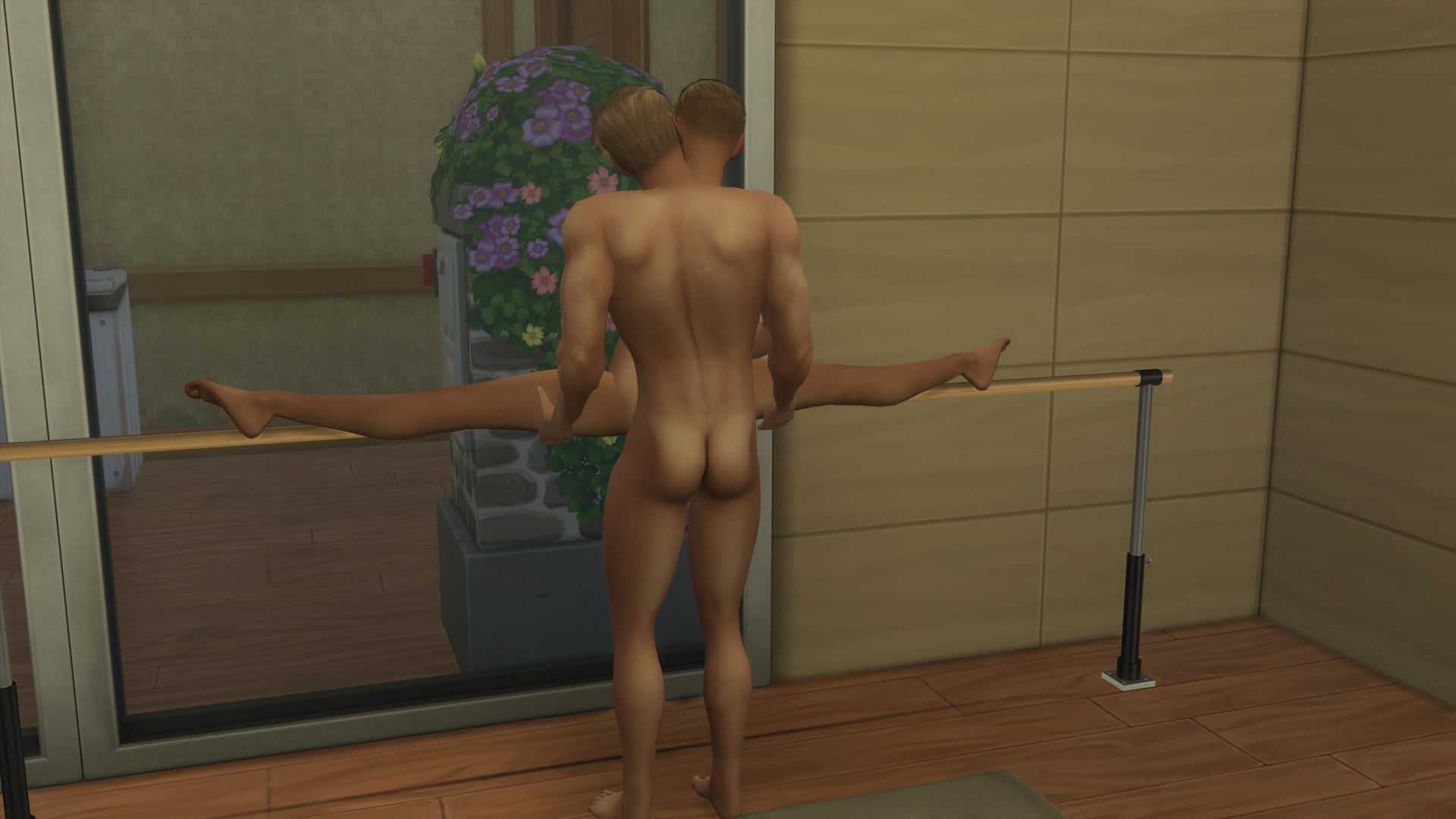 Azmodan22 Ballet Barre with Animations