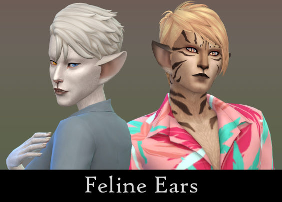 Feline Ears